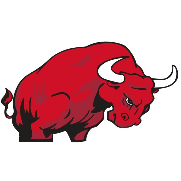 AR BULL 12 RC Thumbnail