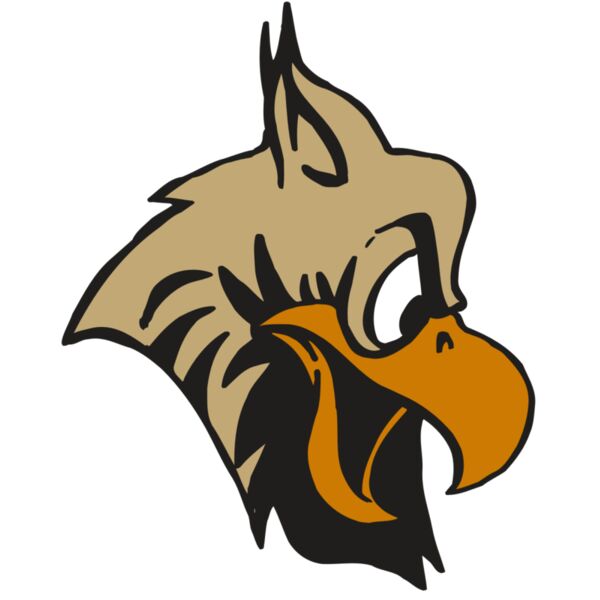 AR5 Owl 11 RQC Thumbnail