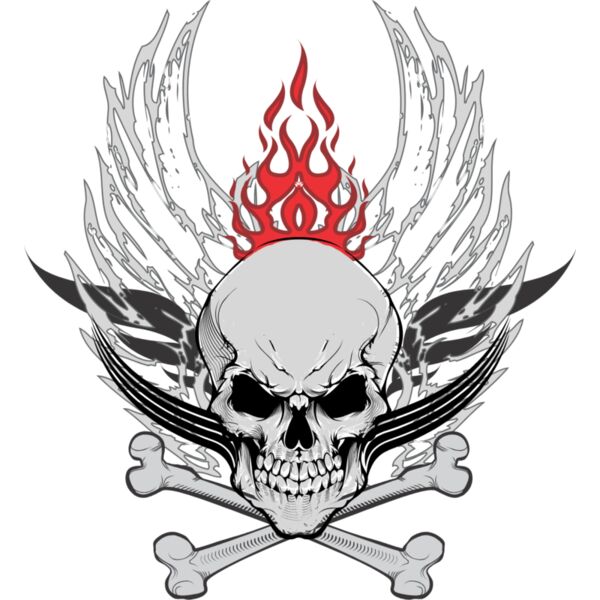 Skull Crossbones Fire Wings 1 Thumbnail