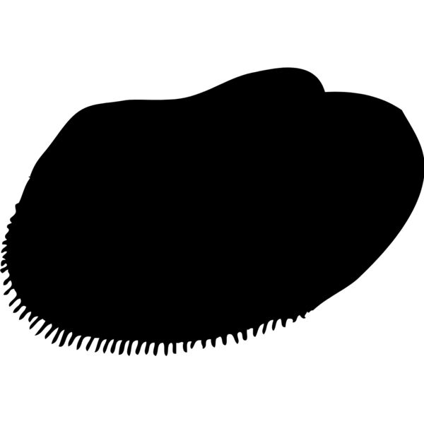 Shell Silhouette 9 Thumbnail