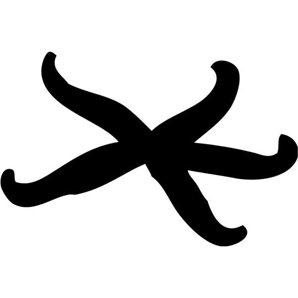 Starfish Silhouette 4 Thumbnail