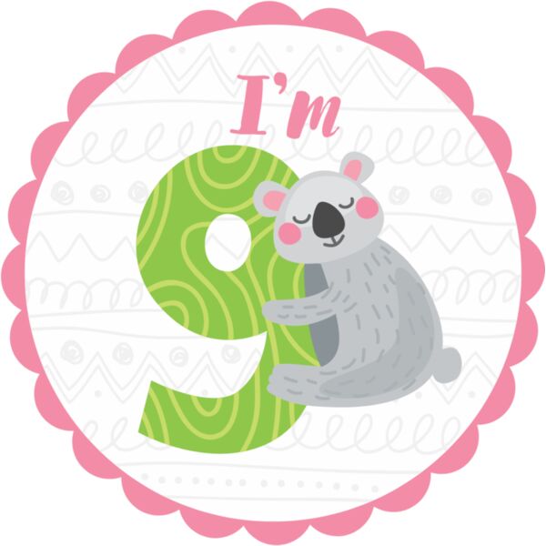 Nine Birthday Animal Koala Number 2 Thumbnail