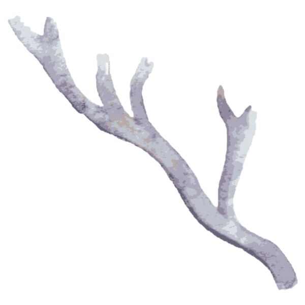 Watercolor Branch Antler 6 Thumbnail