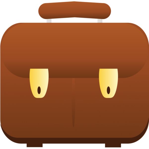 Briefcase Bag 1 Thumbnail